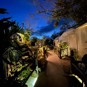 https://chibal-hu.tulum-hotels.net