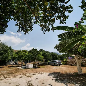 https://orchard-retreat.albaniahotels.org