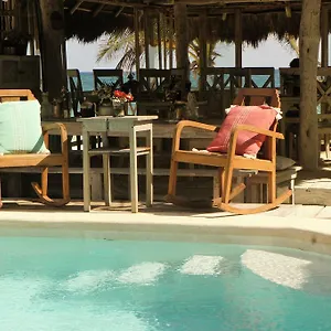 https://punta-piedra-beach-posada.quintano-roohotels.com