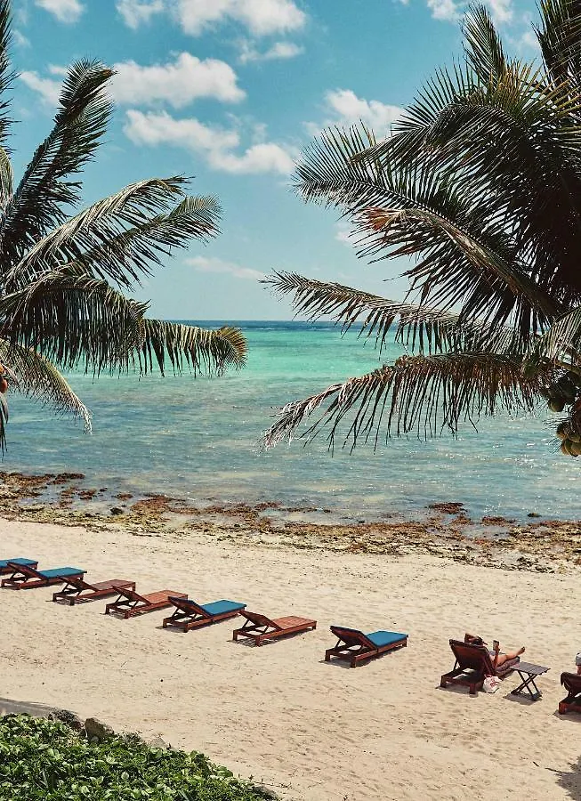 **  Hotel Casa Altamar Tulum Meksyk