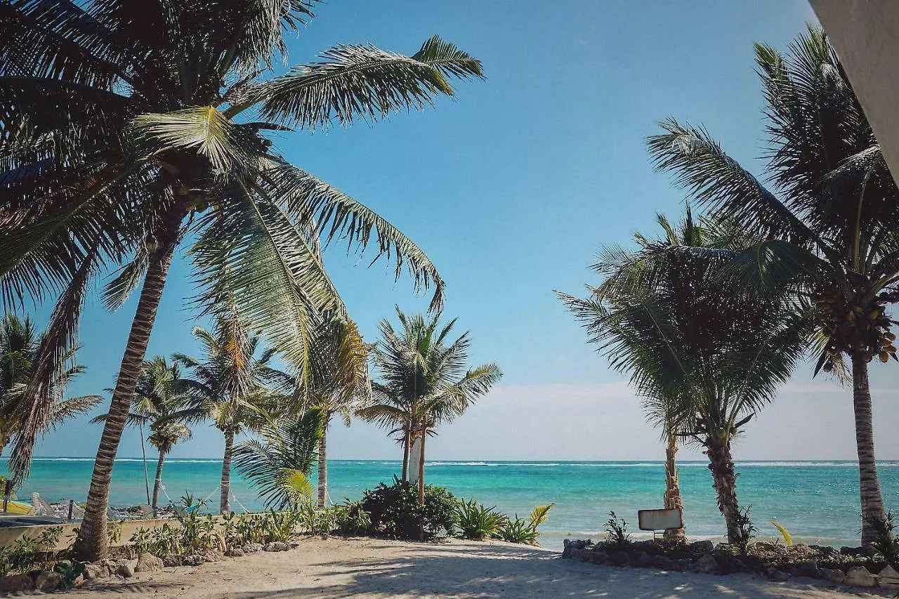 Hotel Casa Altamar Tulum Meksyk